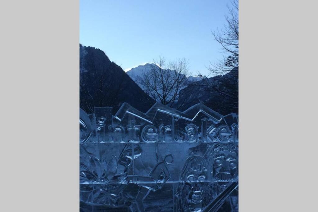 Zentral Gelegene Mit Grossem Garten Interlaken