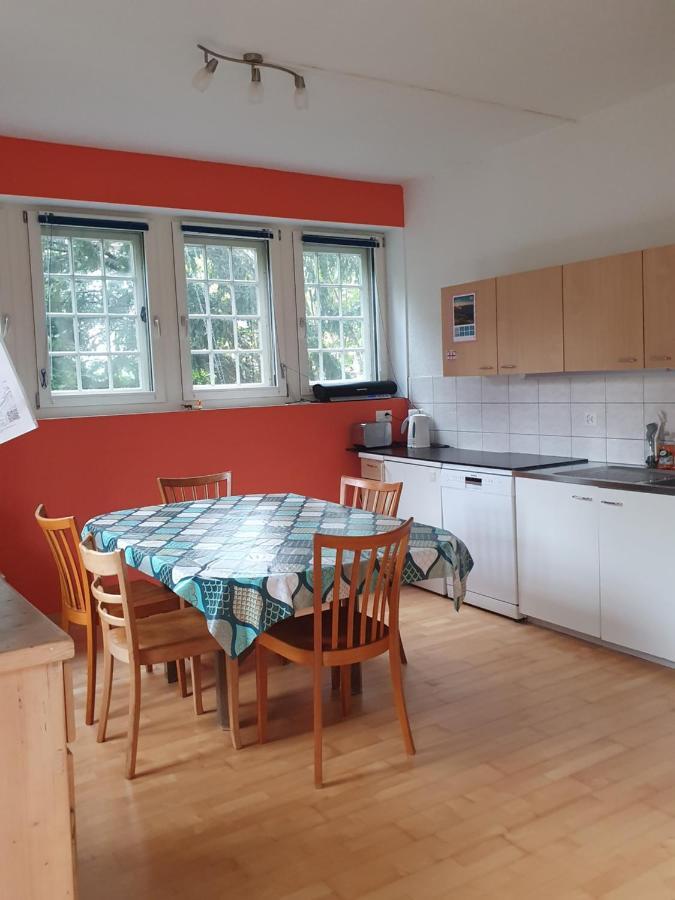 Apartment Zentral Gelegene Mit Grossem Garten